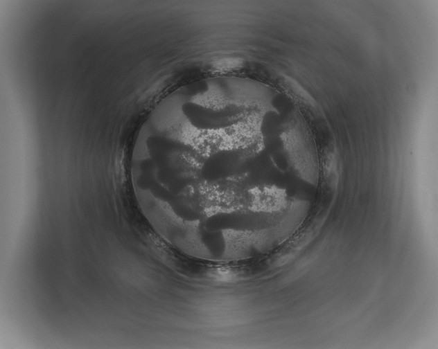 X0000113060565200909041040