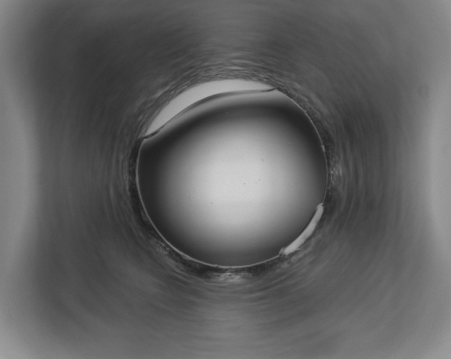 X0000113060566200909041040