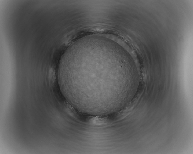 X0000113060568200909041040