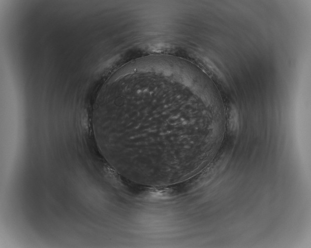 X0000113060569200909041040