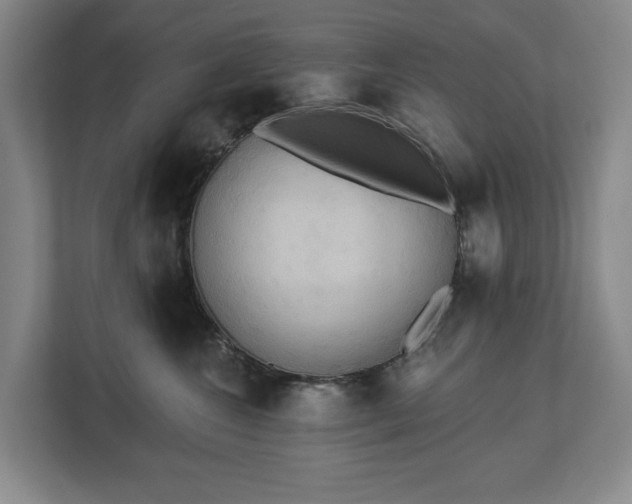 X0000113060572200909041040