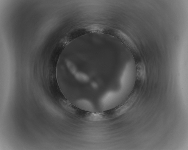 X0000113060573200909041040