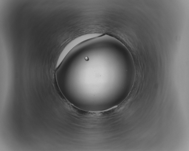 X0000113060576200909041040