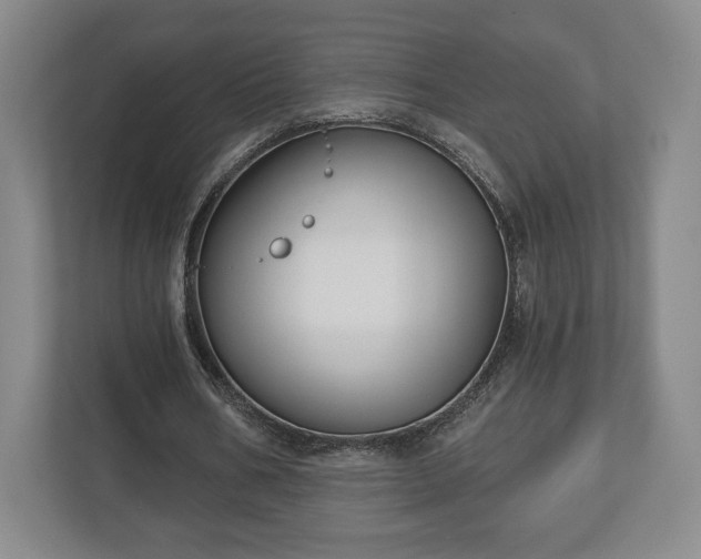 X0000113060578200909041039