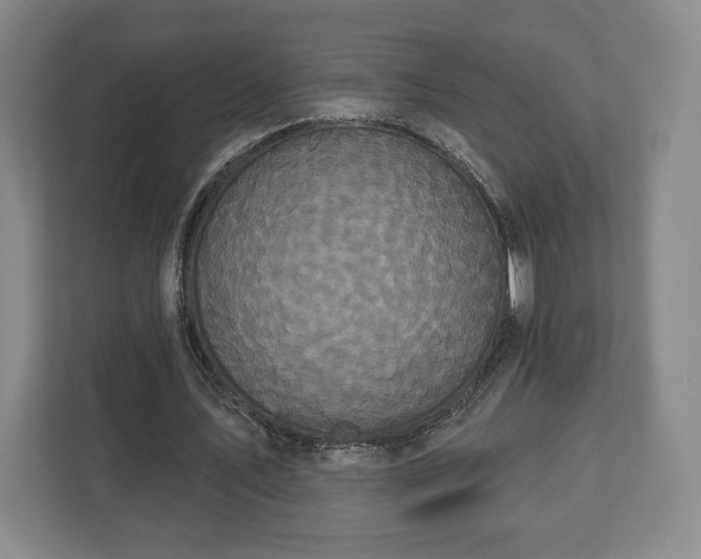 X0000113060579200909041039