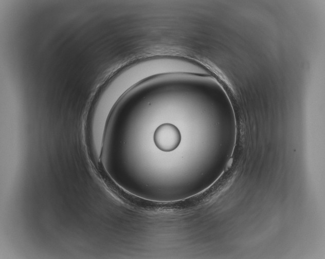 X0000113060581200909041039