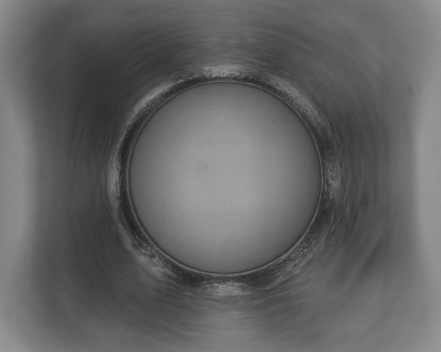 X0000113060583200909041039