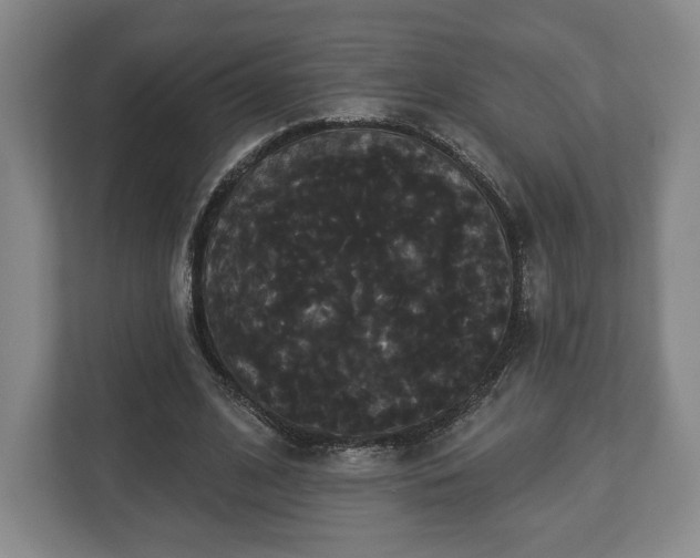 X0000113060584200909041039