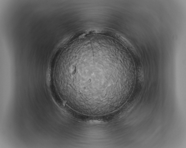 X0000113060586200909041039