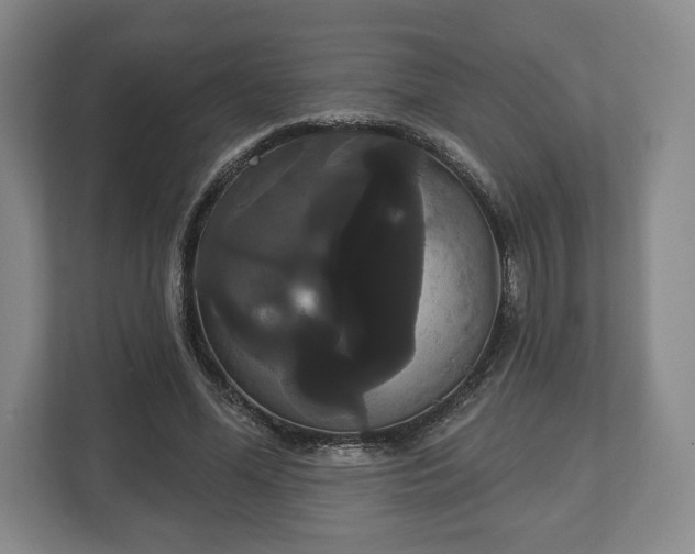 X0000113060588200909041039