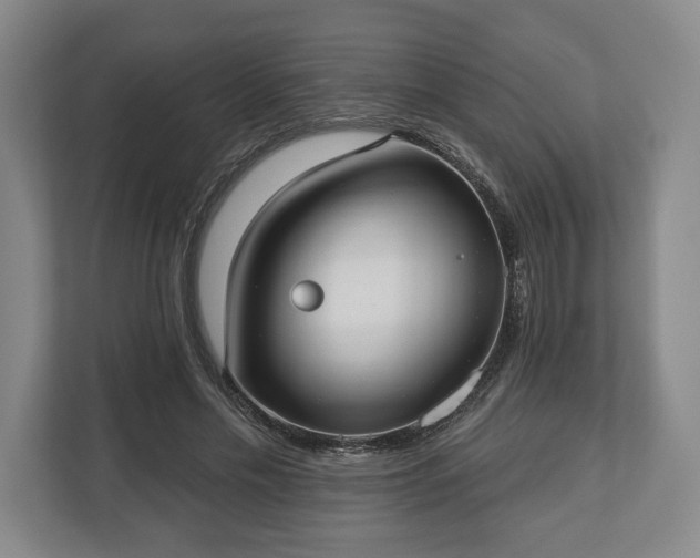 X0000113060589200909041039