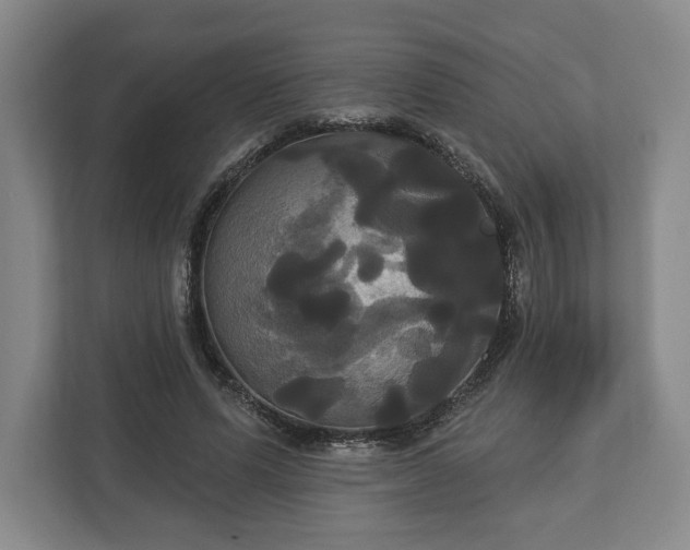 X0000113060591200909041039