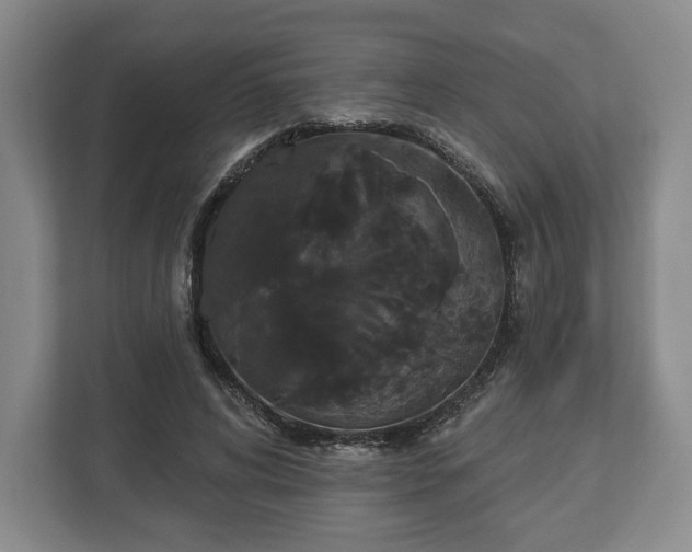 X0000113060592200909041039