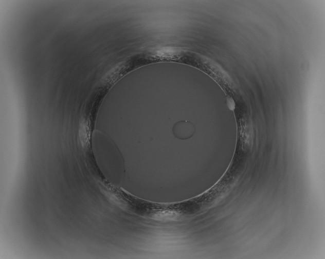 X0000113060593200909041039