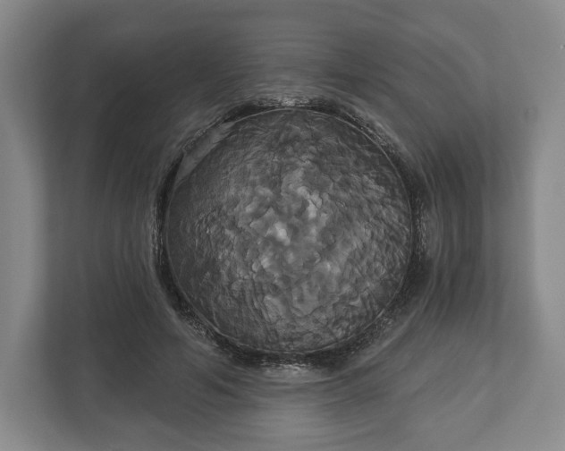 X0000113060594200909041039