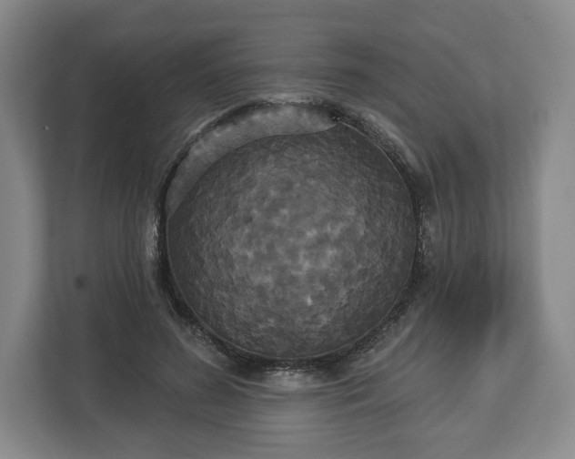 X0000113060596200909041039