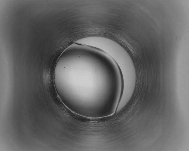 X0000113060597200909041039