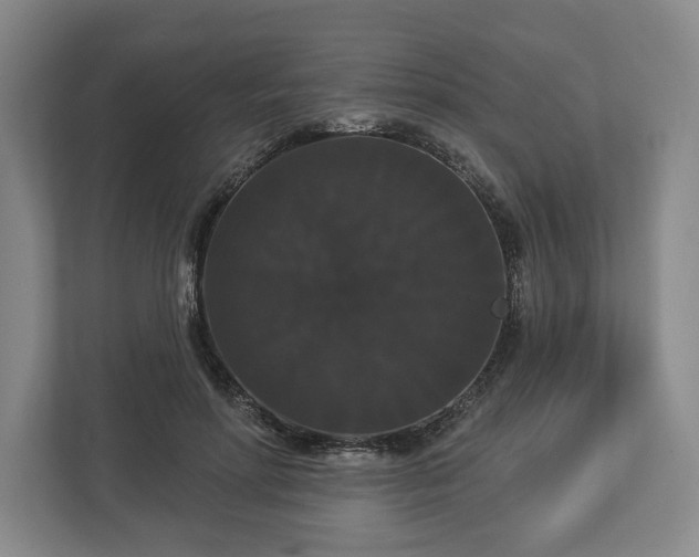 X0000113060598200909041039