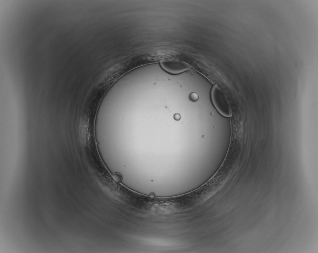 X0000113060599200909041039