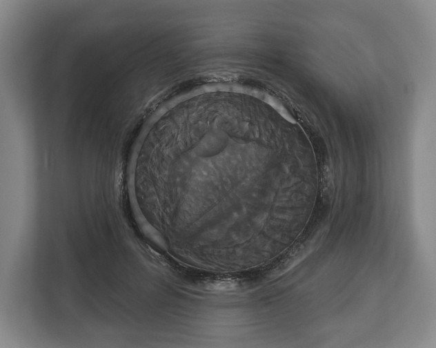 X0000113060600200909041039