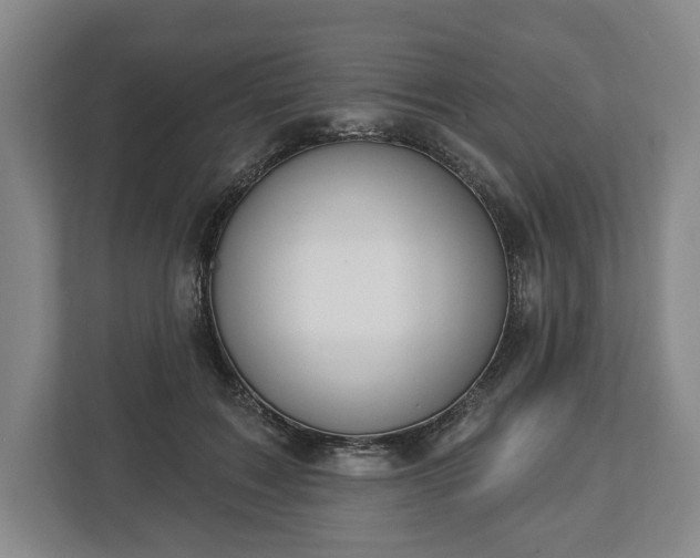 X0000113060603200909041039