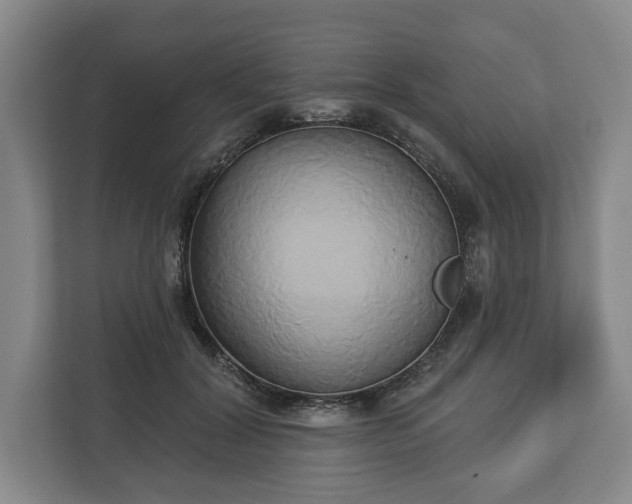 X0000113060604200909041039