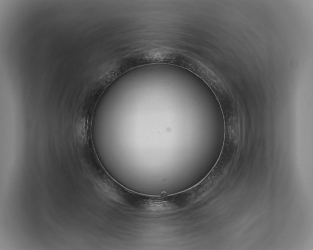X0000113060605200909041039