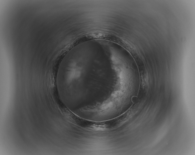 X0000113060606200909041039