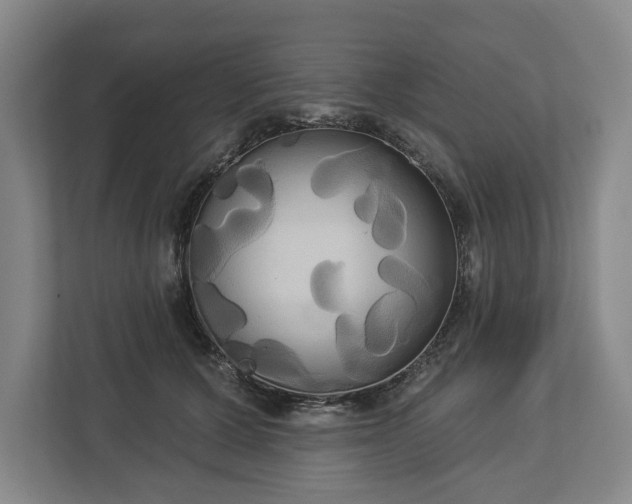 X0000113060607200909041039