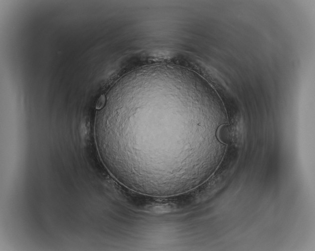 X0000113060608200909041039