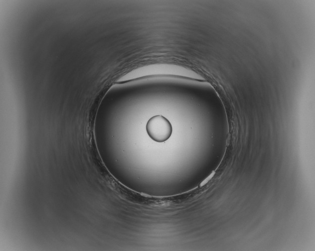 X0000113060609200909041039