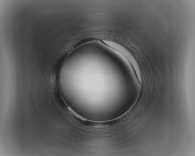 X0000113060611200909041039
