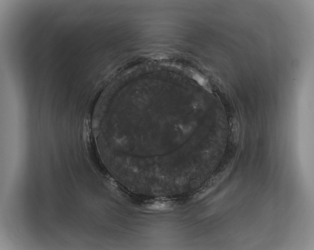 X0000113060612200909041039