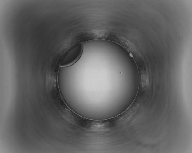 X0000113060613200909041039