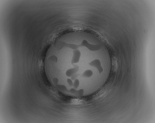 X0000113060614200909041039