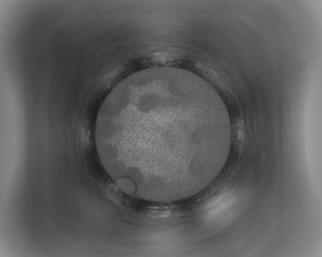 X0000113060615200909041039
