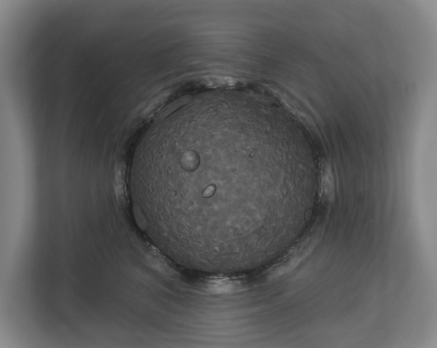 X0000113060616200909041039