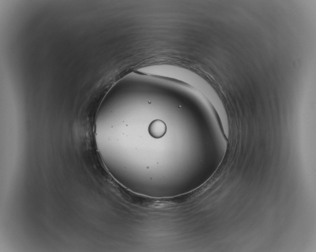 X0000113060617200909041039