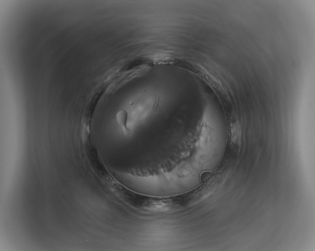 X0000113060618200909041039
