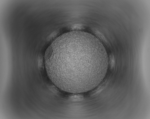 X0000113060619200909041039