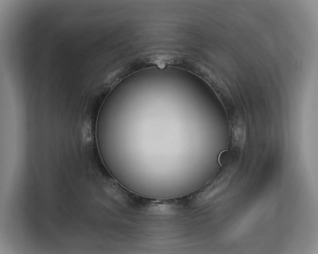 X0000113060620200909041039