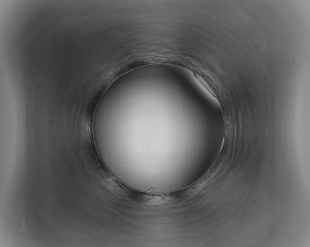 X0000113060621200909041039