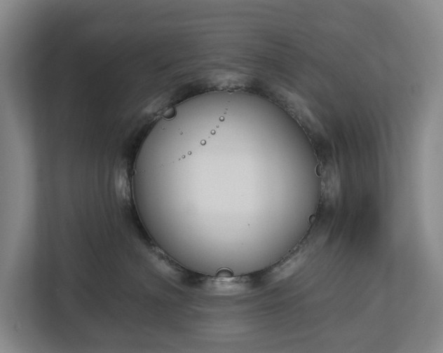 X0000113060622200909041039
