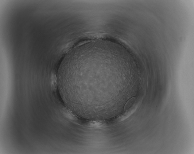 X0000113060624200909041039