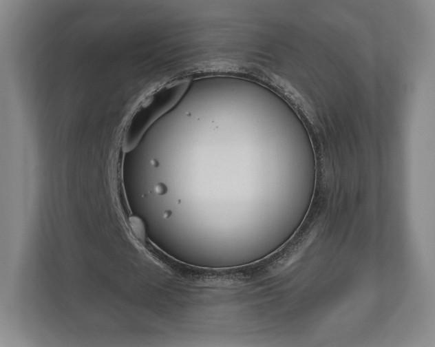X0000113060625200909041038