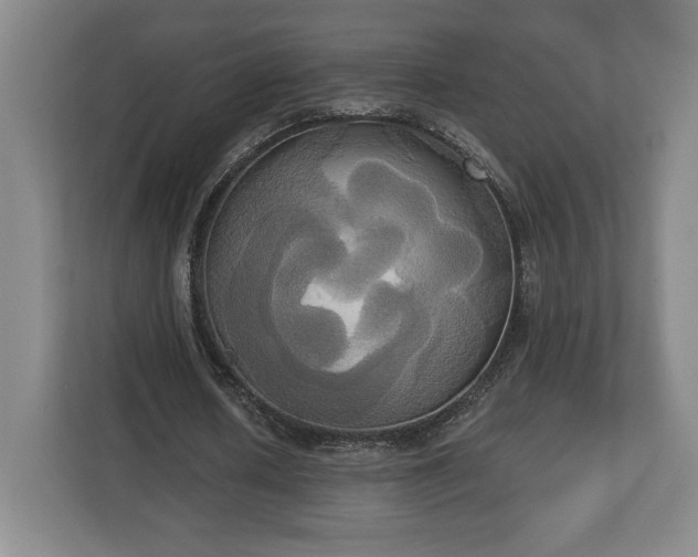 X0000113060626200909041038