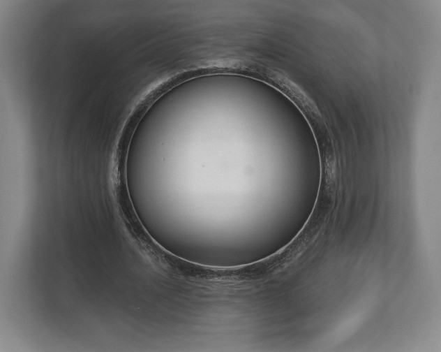 X0000113060628200909041038