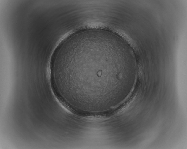 X0000113060630200909041038