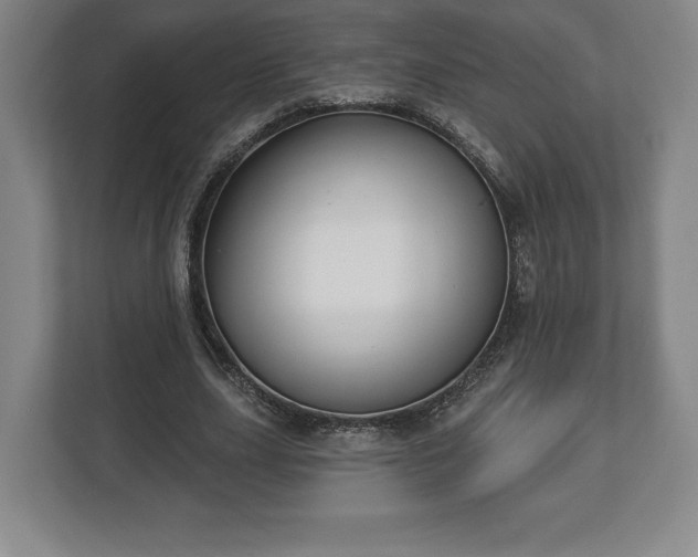 X0000113060631200909041038