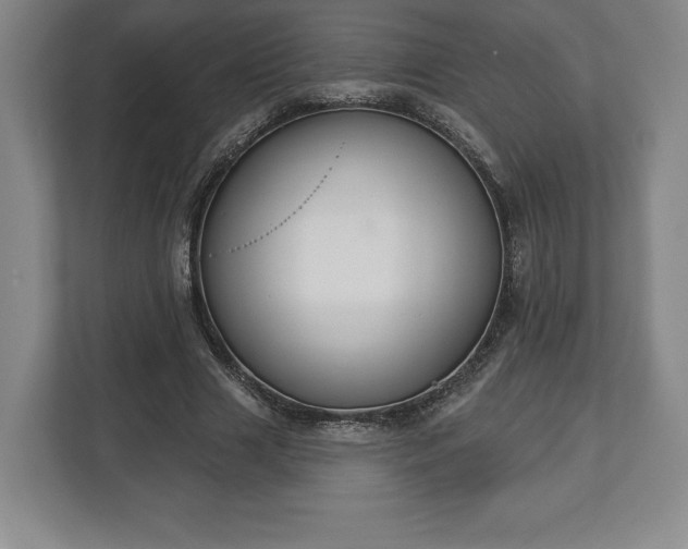 X0000113060633200909041038